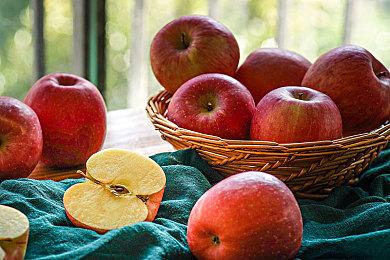 “特别好评”CRPG《动物迷城》冬季特惠开启，立享限时折扣！